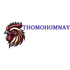 thomohomnaybiz