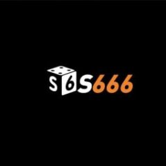 s666accountant