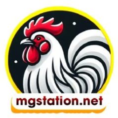 dagamgstation