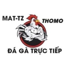 dagatructiepmat