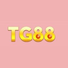 tg88appnet