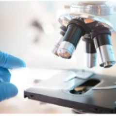 LIMS The Future of Medical Labs