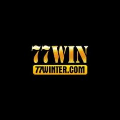77wintercom