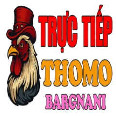 bargnanicom