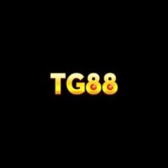 linktg881net