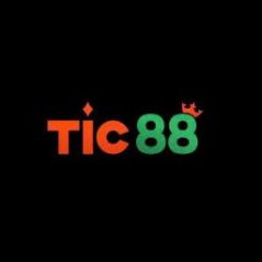 tic88de