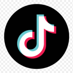 TikTok Downloader Review Safe and Fast Ways to Save Videos