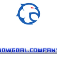 nowgoalcompany