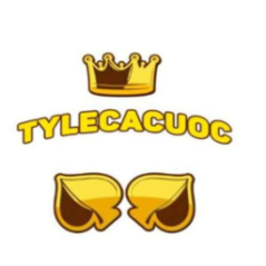 tylecacuocop