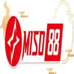 miso88diy