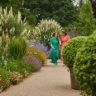 RHS Rosemoor