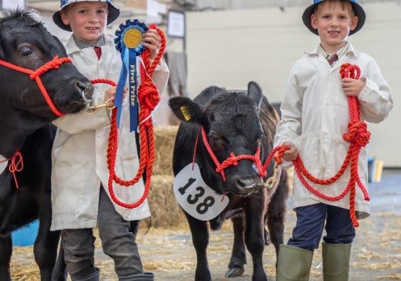 New Dexter Young Handler Classes at 2026 Devon County Show.