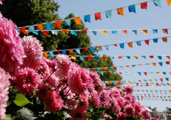RHS Rosemoor Garden Festival Beautifully arranged flowers form an avenue with colourful bunting above