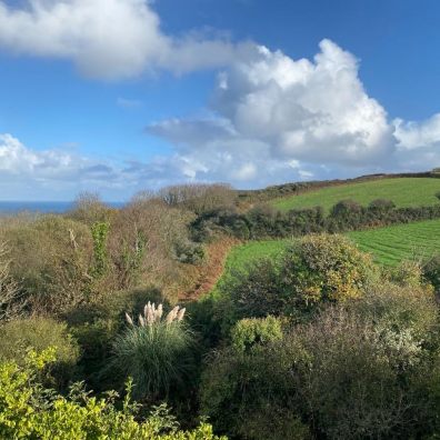 Coastguard Cottages Porthoustock view