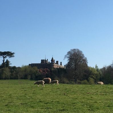 Exeter Ramblers