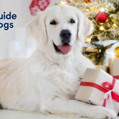 Guide Dogs for the Blind