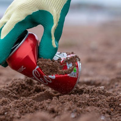 What can you find on a beach…?