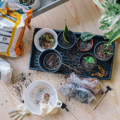 Practical Ways To Fund Your Gardening Business