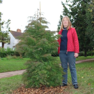 woman stand-in with tree in park