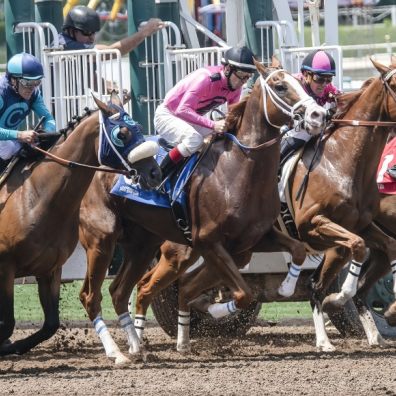 horse racing