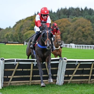 Time To Bite ridden by Bryan Carver and trained by Chris Honour at Sigford in Devon. Photo: Francesca Altoft Photography.