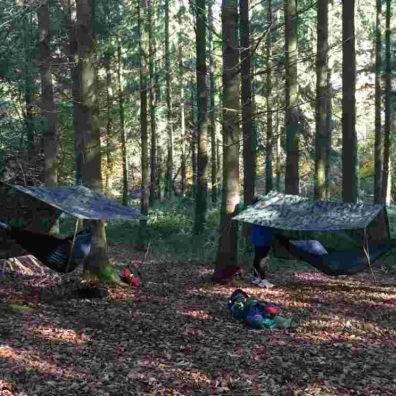Torlands Forest School 