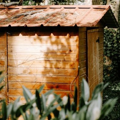 garden shed surrounded by shrubs